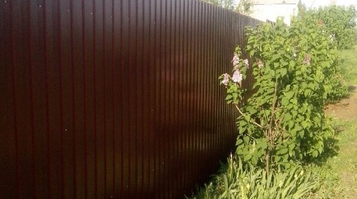 Мой старый Двор